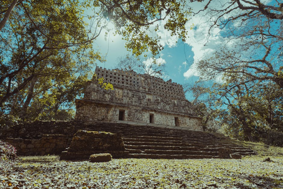 Lacandonen: Letzte Waldmaya in Chiapas – Geschichte und Gegenwart – Kostenloses Stock Foto zu abonnieren, alt, archäologie