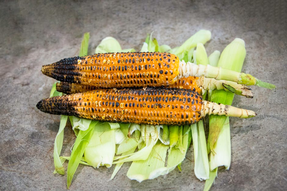 Mais Domestikation: Vom Wildgras zur Welternährung – Kostenloses Stock Foto zu andhra pradesh, appetizer, asien