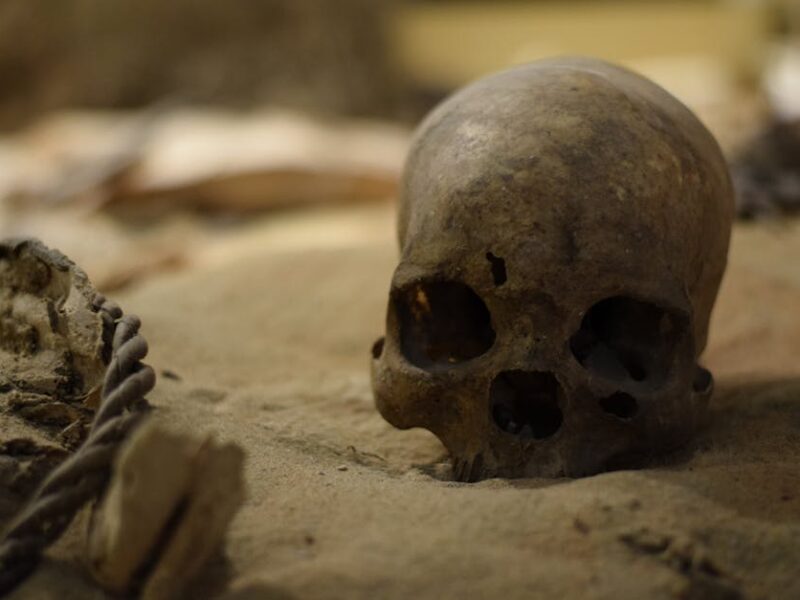 Moctezuma II.: Der letzte Aztekenkaiser vor Cortés – Kostenloses Stock Foto zu alt, angst, archäologie