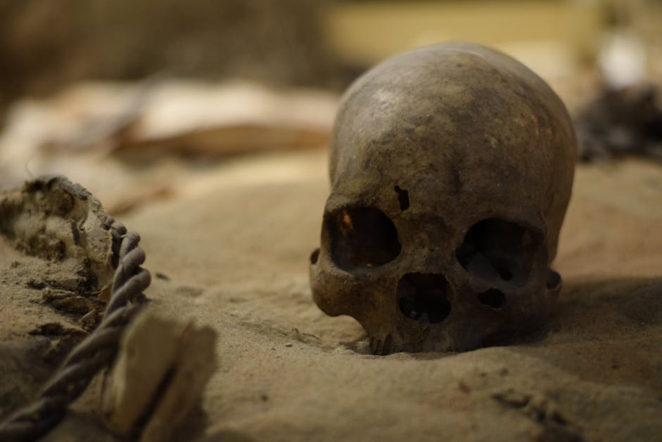Moctezuma II: Letzter unabhängiger Aztekenkaiser von Tenochtitlán – Kostenloses Stock Foto zu alt, angst, archäologie