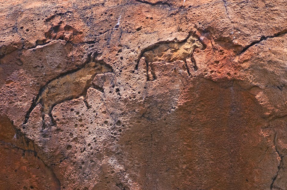 Monte Alegre: Die paleo-amerikanische Felskunst – Kostenloses Stock Foto zu alt, alte geschichte, alte zeichnungen