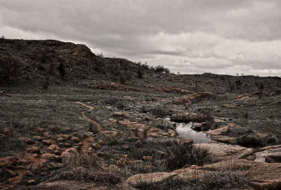 Muscogee Creek: Mississippian-Erbe in Oklahoma – Kostenloses Stock Foto zu abenteuer, bedeckt, berg