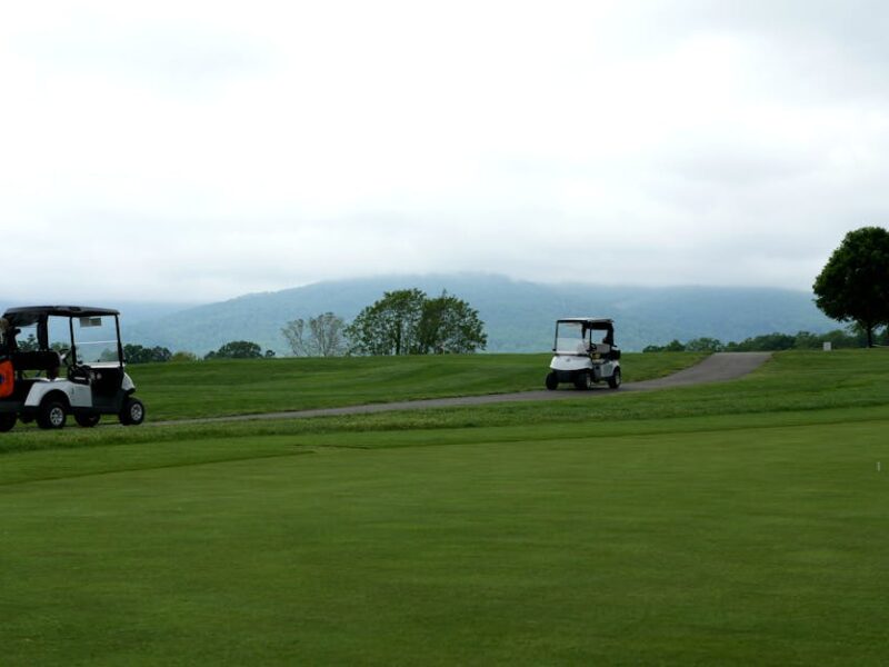 Octagon State Memorial: Der Golfplatz-Streit um Newark – Kostenloses Stock Foto zu alter trailgolfclub, außenaktivität, bäume