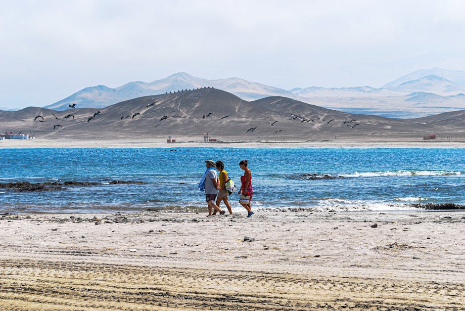 Paracas Mantel: Höhepunkt andiner Textilkunst in Peru – Kostenloses Stock Foto zu abenteuer, berge, blau