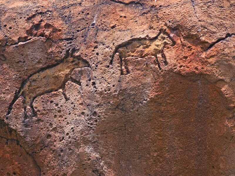 Taíno-Petroglyphen: Die Höhlenkunst der Karibik – Kostenloses Stock Foto zu alt, alte geschichte, alte zeichnungen
