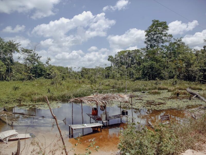 Terra Preta: Die fruchtbare Erde der Amazonas-Bewohner – Ruhige Flussszene in Paragominas, Pará, Brasilien, mit üppigem Gr…