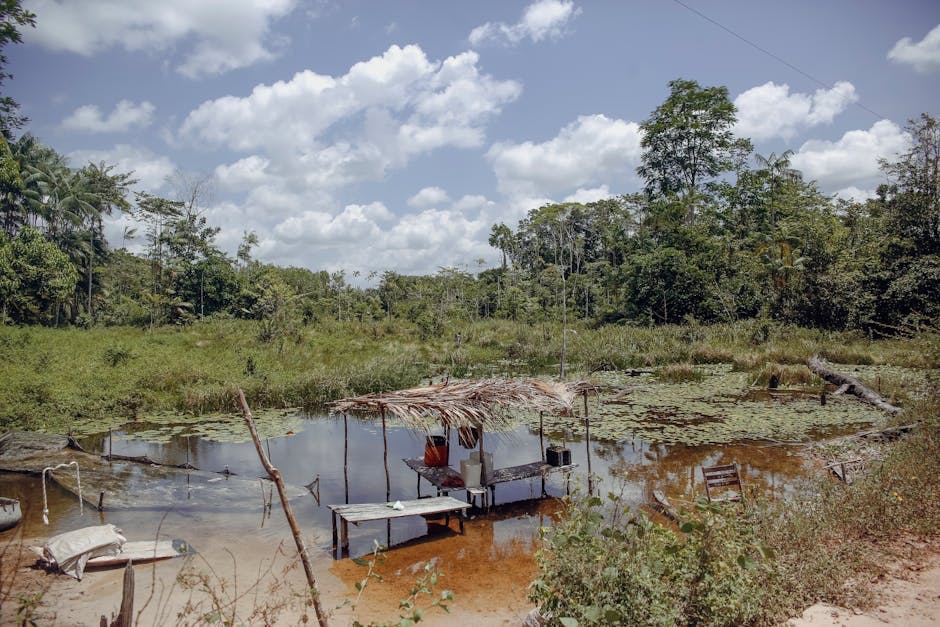 Terra Preta: Die fruchtbare Erde der Amazonas-Bewohner – Ruhige Flussszene in Paragominas, Pará, Brasilien, mit üppigem Gr…