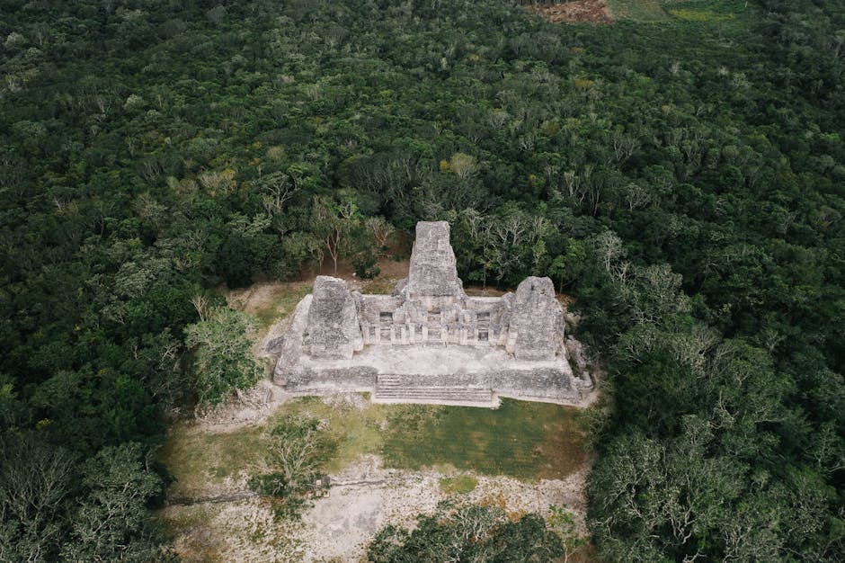 Tikal Geschichte: Aufstieg und Fall einer Maya-Metropole – Kostenloses Stock Foto zu abenteuer, abstrakt, alt