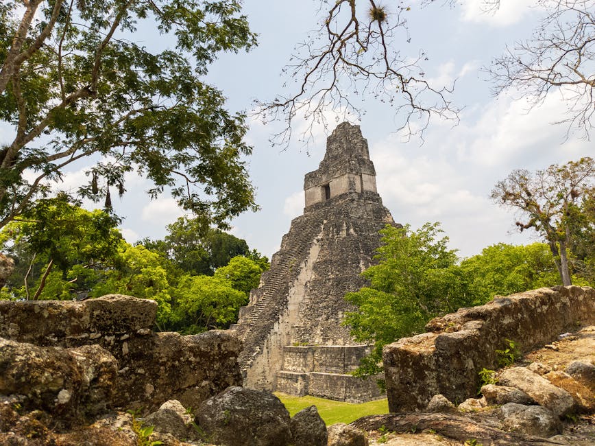 tikal tempel iv – Kostenloses Stock Foto zu @draussen, abenteuer tourismus, alt