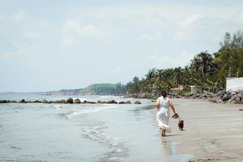 Tres Zapotes: Das olmekische Spätzentrum in Veracruz – Eine Frau und ihr Hund spazieren am ruhigen Strand Playa Zapote in …