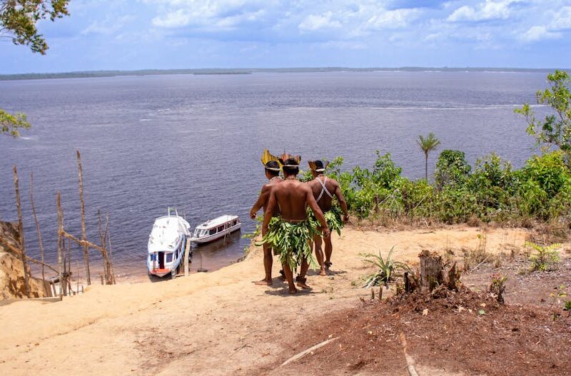 Wie viele Menschen lebten vor 1492 im Amazonas? – Kostenloses Stock Foto zu amazonas, amazonas-regenwald, authentisch