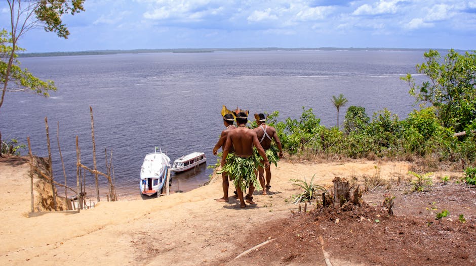 Wie viele Menschen lebten vor 1492 im Amazonas? – Kostenloses Stock Foto zu amazonas, amazonas-regenwald, authentisch