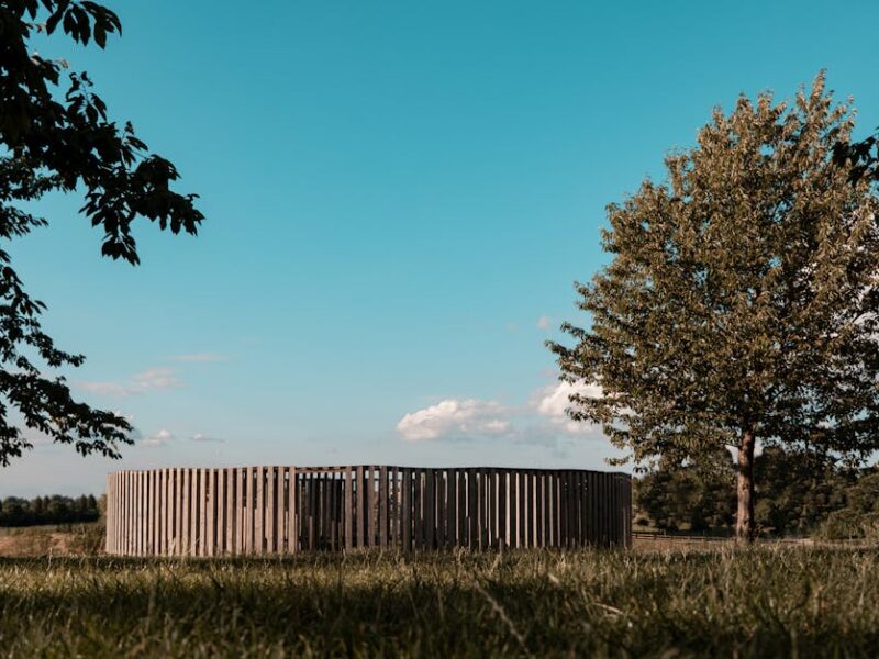 Woodhenge: Das Sonnenobservatorium von Cahokia – Kostenloses Stock Foto zu atmungsaktiv, außerorts, aussicht