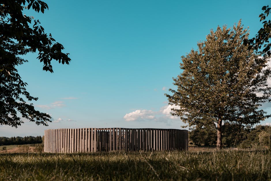 Woodhenge: Das Sonnenobservatorium von Cahokia – Kostenloses Stock Foto zu atmungsaktiv, außerorts, aussicht