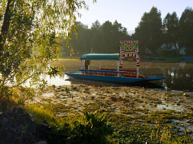 Xochimilco: Die schwimmenden Gärten der Azteken – Mexiko