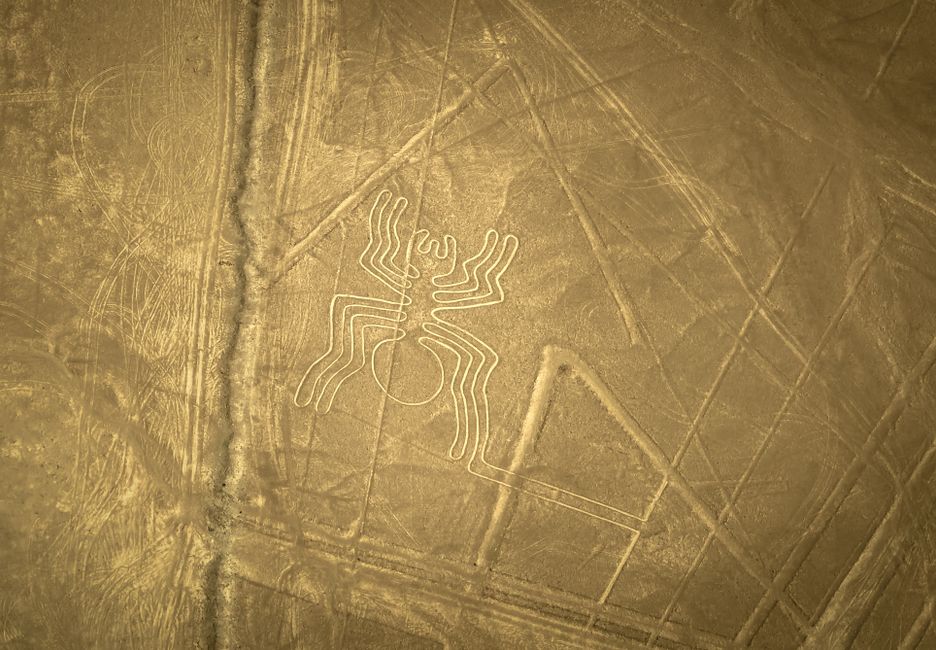 Amazonas Geoglyphen: forschungstechnisch offene Erdwerke und ihre Erforschung – Kostenloses Stock Foto zu alte linien, alte symbole, alte…