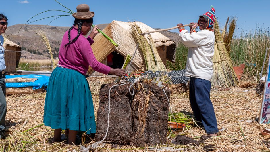 Braiding Sweetgrass: Indigenes Wissen und Pflanzenlehre – Kostenloses Stock Foto zu abgelegenes leben, andenhochland, ande…