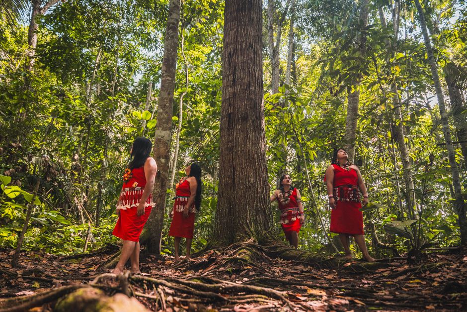 Decolonizing Methodologies: Indigene Forschungsethik – Kostenloses Stock Foto zu amazonas, amazonas wald, amazonas-stamm