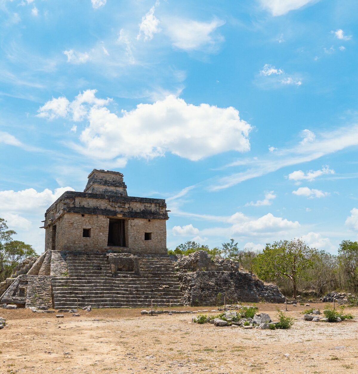 Ancient Maya Coe: Michael D. Coes Standardwerk "The Maya"