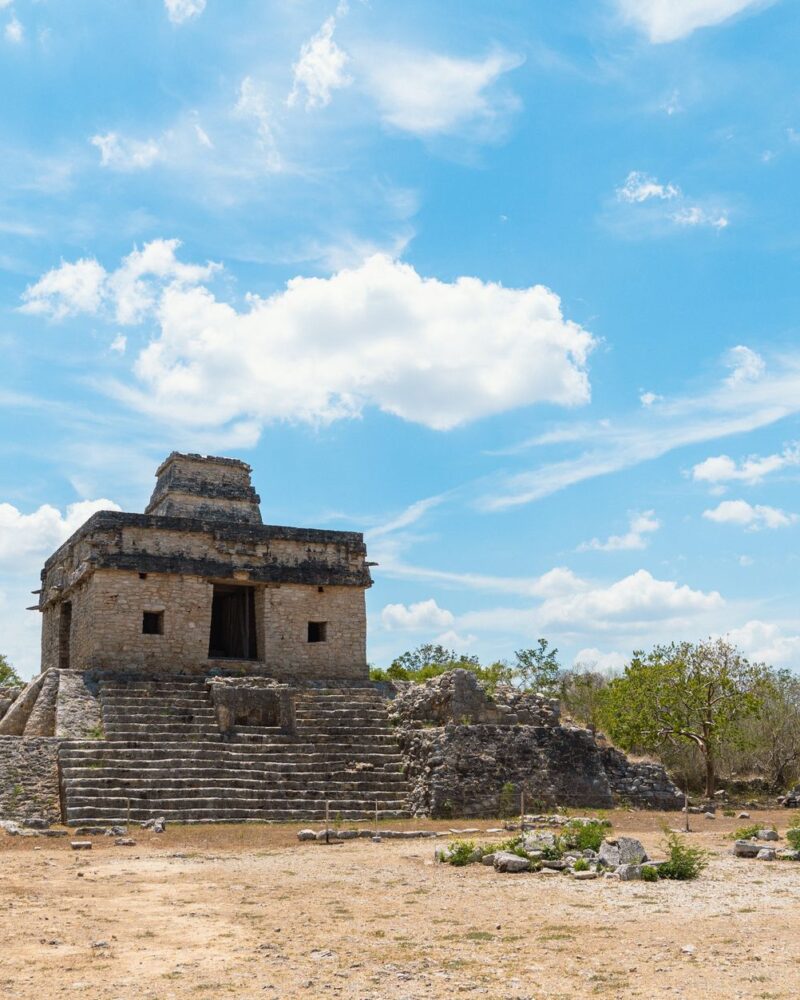 Ancient Maya Coe: Michael D. Coes Standardwerk "The Maya"