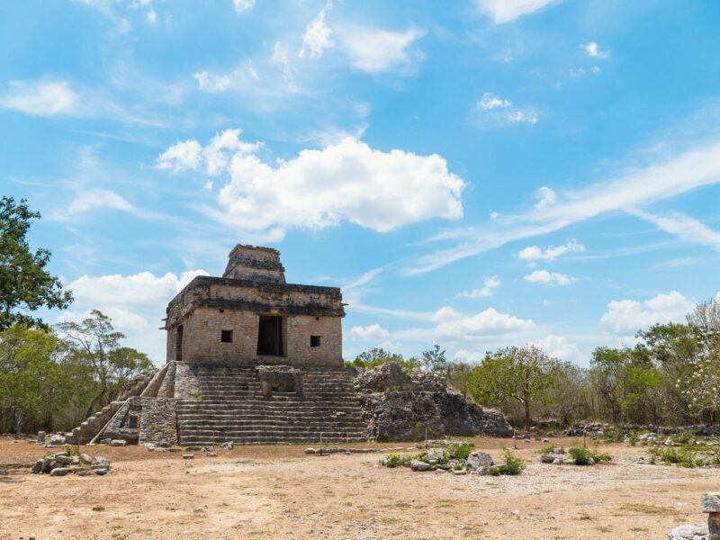 Ancient Maya Coe: Michael D. Coes Standardwerk "The Maya"