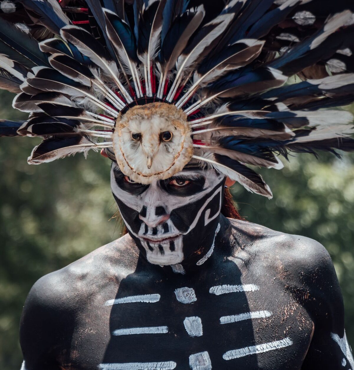 Powwow heute: Lebendige Tradition und kulturelle Vielfalt