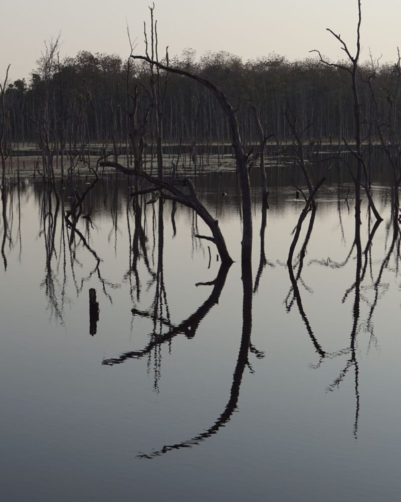 Two-Eyed Seeing: Indigenes und westliches Wissen vereinen