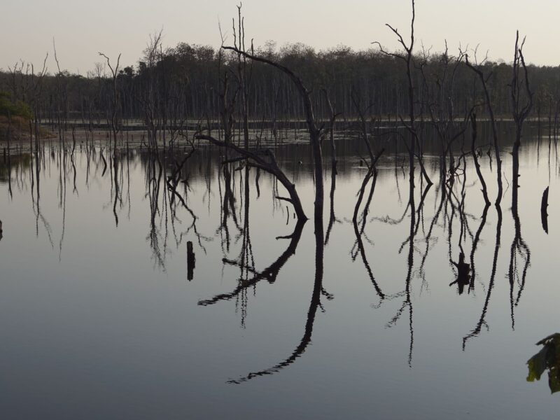 Two-Eyed Seeing: Indigenes und westliches Wissen vereinen