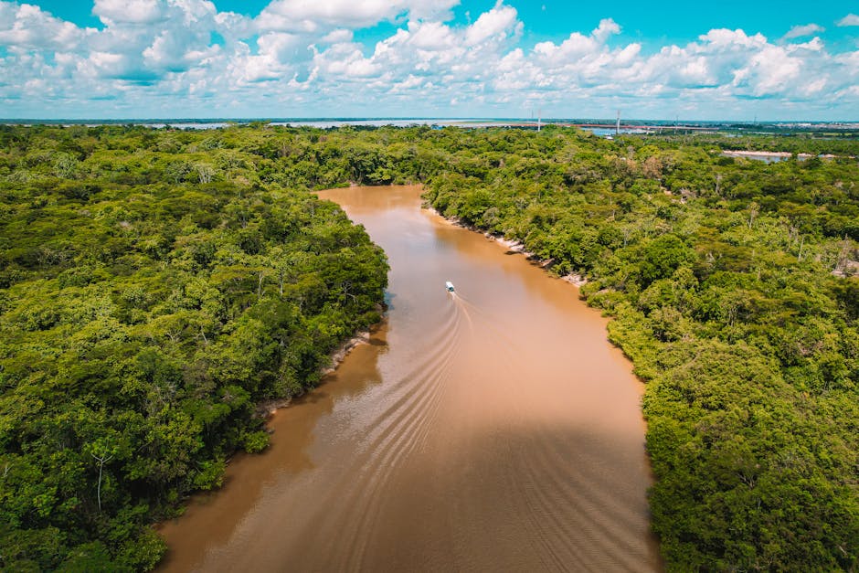 LiDAR Amazonas: Archäologie enthüllt verlorene Städte im Regenwald – Kostenloses Stock Foto zu abenteuerreisen, abgelegene…