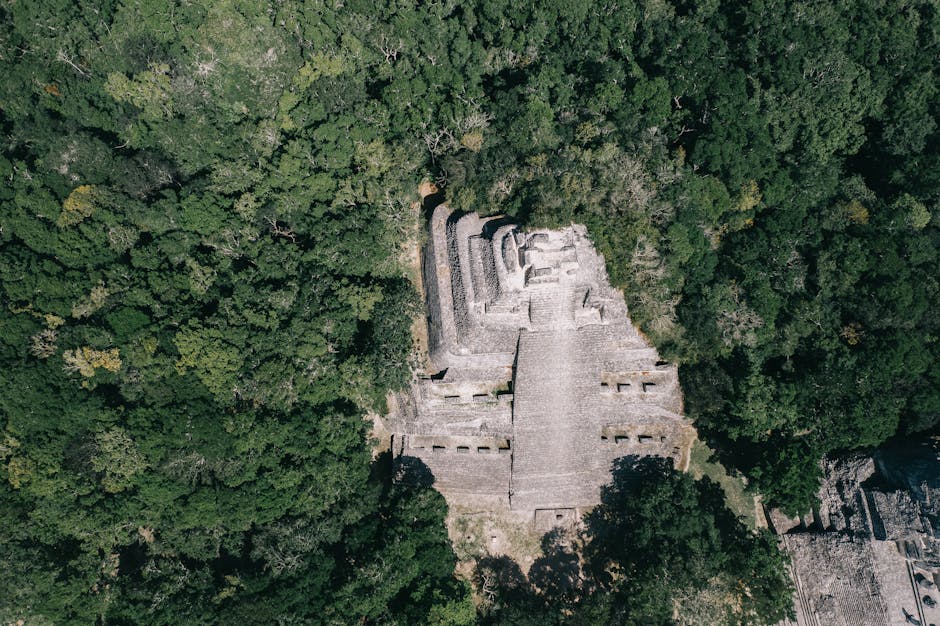 LiDAR Maya: Archäologie im Regenwald neu entdeckt – Kostenloses Stock Foto zu abenteuer, abstrakt, alte zivilisation