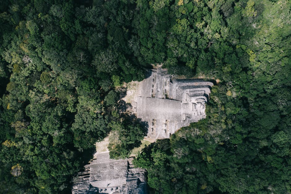 LiDAR Maya: Archäologie im Regenwald neu entdeckt – Kostenloses Stock Foto zu alt, antike ruinen, architektur