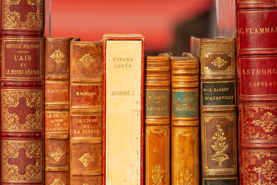 Louise Erdrich: Grande Dame der Native American Literature – Eine Reihe klassischer, in Leder gebundener Bücher mit kunstv…