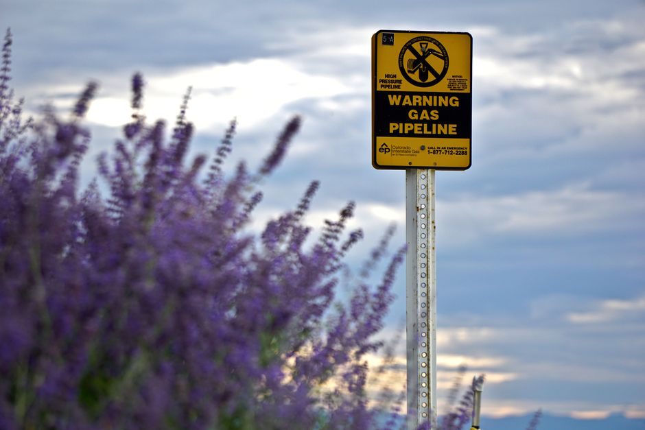 Standing Rock: Dakota Access Pipeline Proteste 2016 – Kostenloses Stock Foto zu betriebssicherheit, bewölkter himmel, blumen