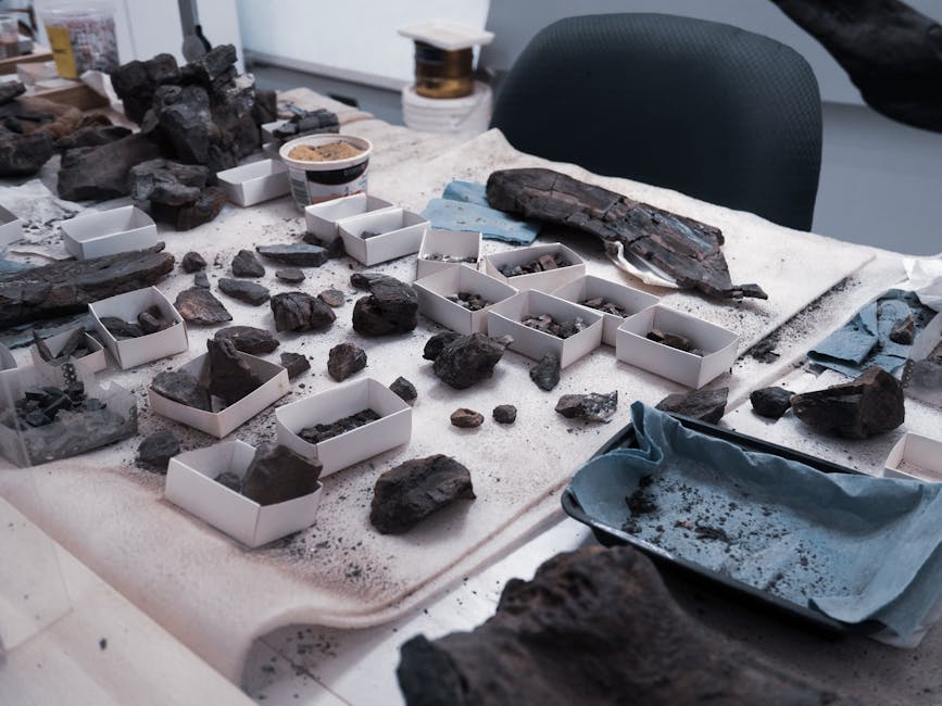 Strontium-Isotope: Herkunftsbestimmung in der Archäologie – Kostenloses Stock Foto zu #indoor, akademisches studium, alt