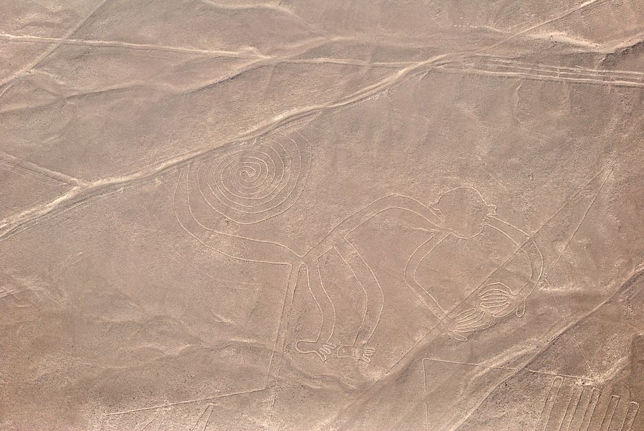 Acre Geoglyphen: Vorkolumbianische Erdwerke im Amazonas – Kostenloses Stock Foto zu affe, alt, alte zivilisation