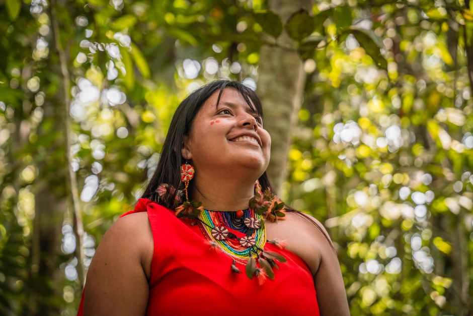 Carolina Levis: Domestikation der Amazonas-Wälder – Kostenloses Stock Foto zu amazonas, amazonas-regenwald, draußen