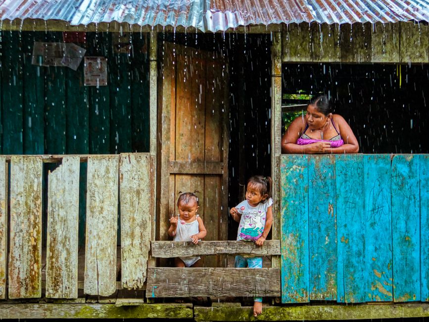 Casarabe: Die vergessene Stadtkultur Boliviens im Amazonas – Kostenloses Stock Foto zu alltag, amazonas, amazonas-regenwald