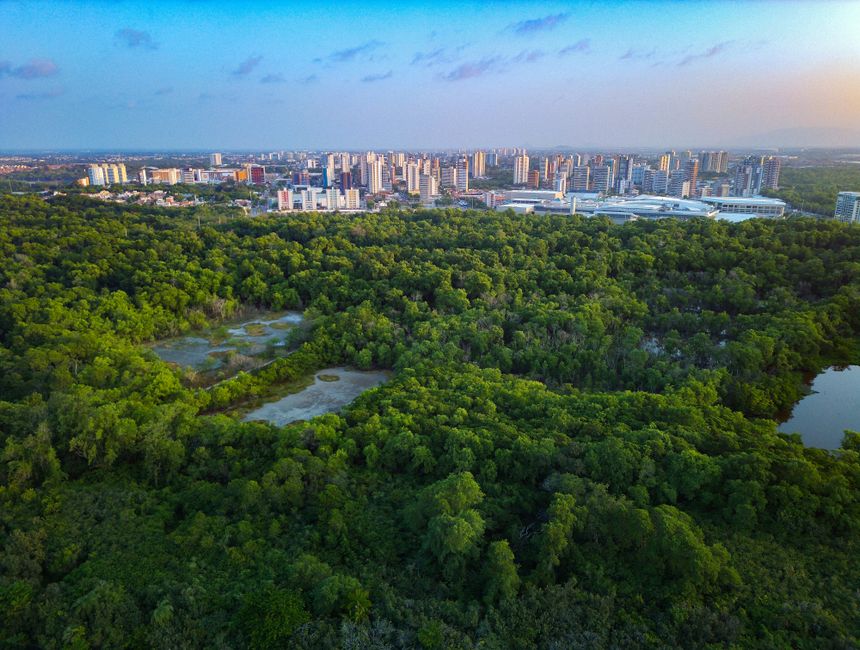 Amazonas Fluss: Das größte Flusssystem der Welt im Fokus – IAE-Bonn Magazin Amazonas Fluss: Das größte Flusssystem der Welt im Fokus