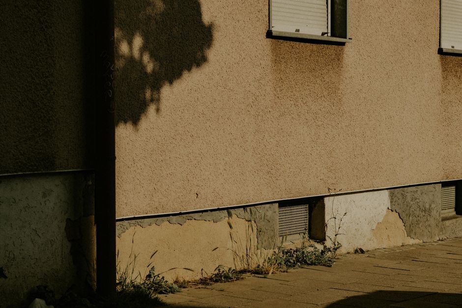 Linda Schele Erbe: Pionierin der Maya-Forschung 25 Jahre nach ihrem Tod