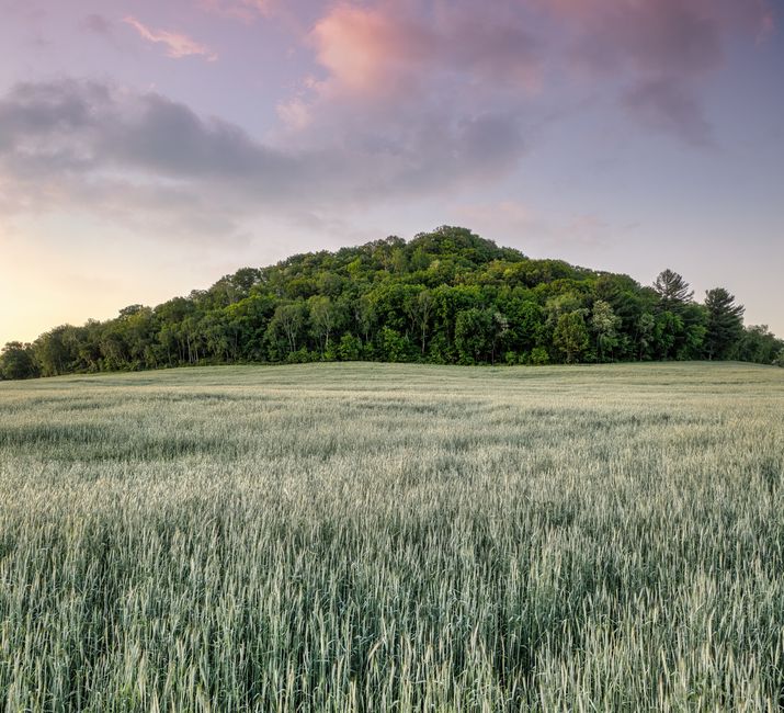 Monks Mound: Cahokias gigantische Erdpyramide in Nordamerika