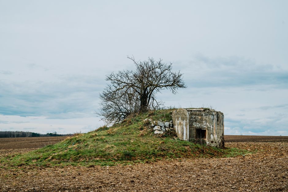 Moundville: Die antike Hauptstadt der Mississippi-Kultur in Alabama – IAE-Bonn Magazin Moundville: Die antike Hauptstadt der Mississippi-Kultur in Alabama