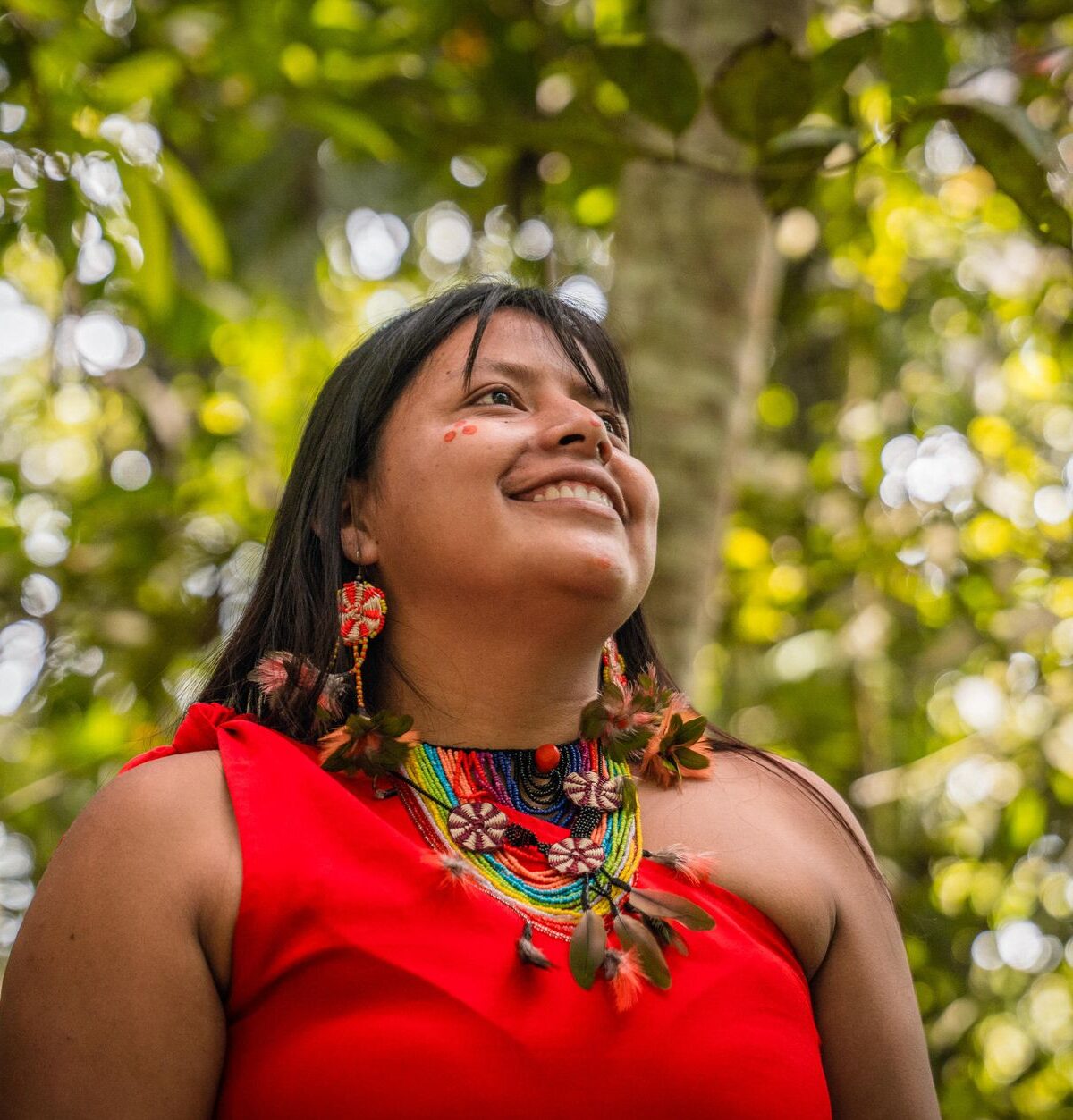 Xingu Indigene: Lebensweise, Kultur und Kampf um den Regenwald