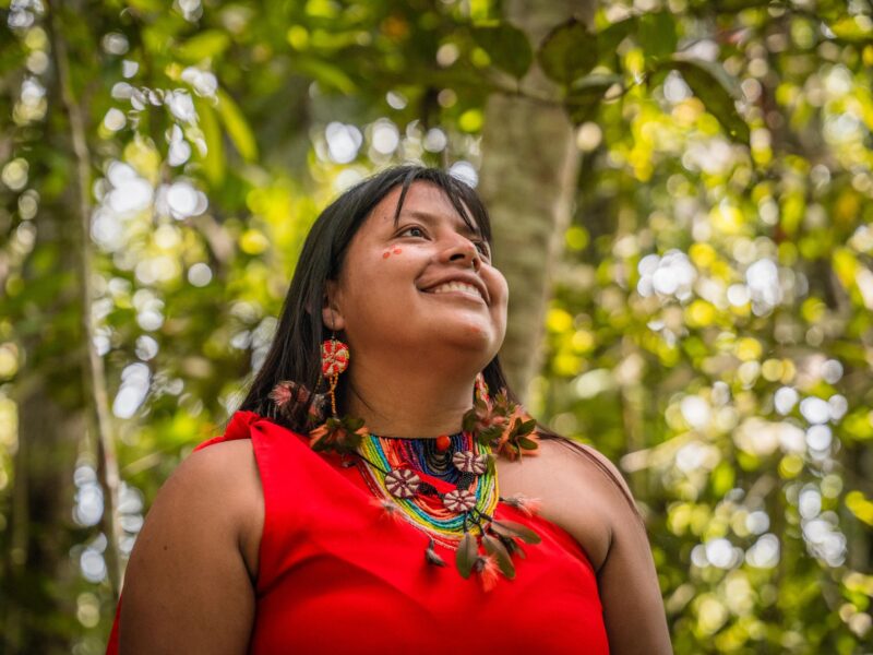 Xingu Indigene: Lebensweise, Kultur und Kampf um den Regenwald