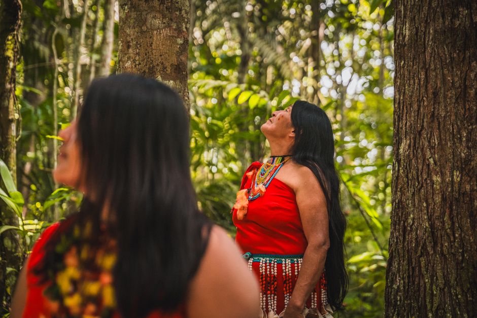 Suruí: Amazonas-CO2-Pioniere und Waldschützer – Kostenloses Stock Foto zu amazonas, amazonas-regenwald, amazonas-stamm