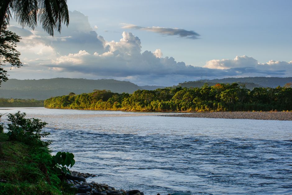 Terra Preta: Das Geheimnis der fruchtbaren Erde im Amazonas – Kostenloses Stock Foto zu abenteuer, amazonas, amazonas becken