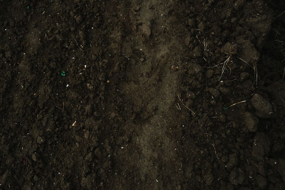 Terra Preta: Das Geheimnis der fruchtbaren Erde im Amazonas – Kostenloses Stock Foto zu acker, ackerland, agronomie