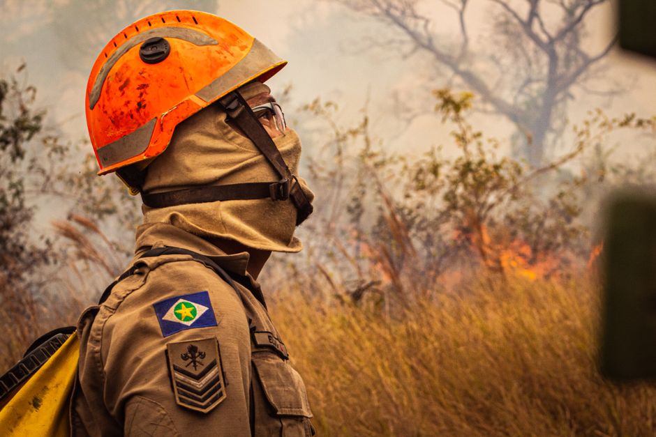 Xavante: Cerrado-Krieger in Mato Grosso und ihr Kampf – Kostenloses Stock Foto zu abholzung, bedienungsschulung, beruf