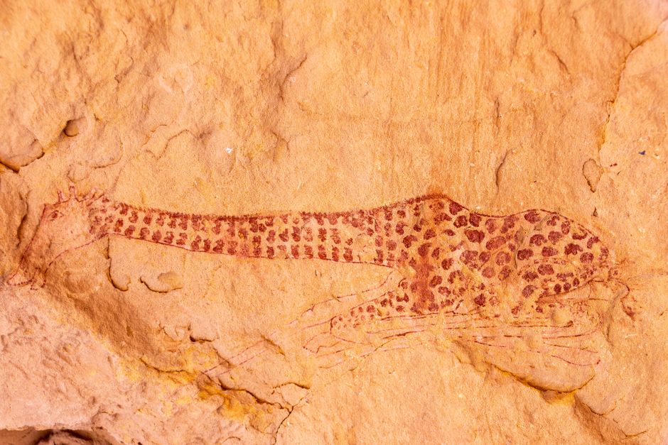 Chumash: Kultur, Geschichte und die Felsmalereien Südkaliforniens – Detaillierte Felskunst einer Giraffe in Tassili n'Ajje…