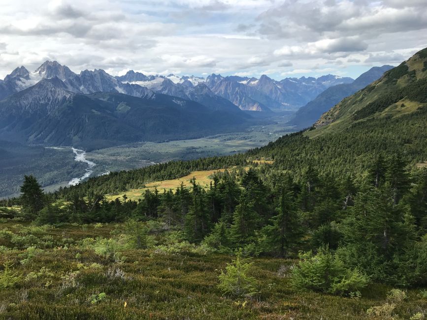 Die Tlingit: Kultur, Geschichte und Gegenwart in Alaska – Beeindruckende Aussicht auf üppige Wälder und Bergspitzen in Hai…