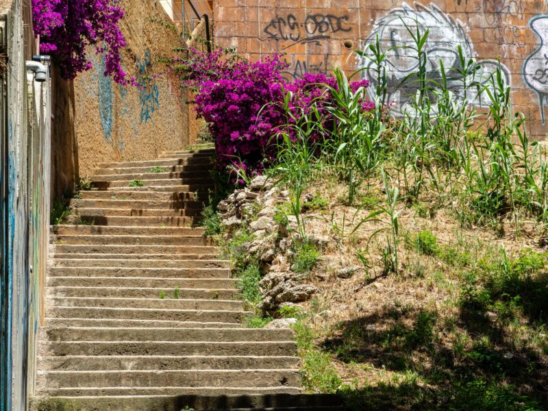 Chumash: Kultur, Geschichte und die Felsmalereien Südkaliforniens